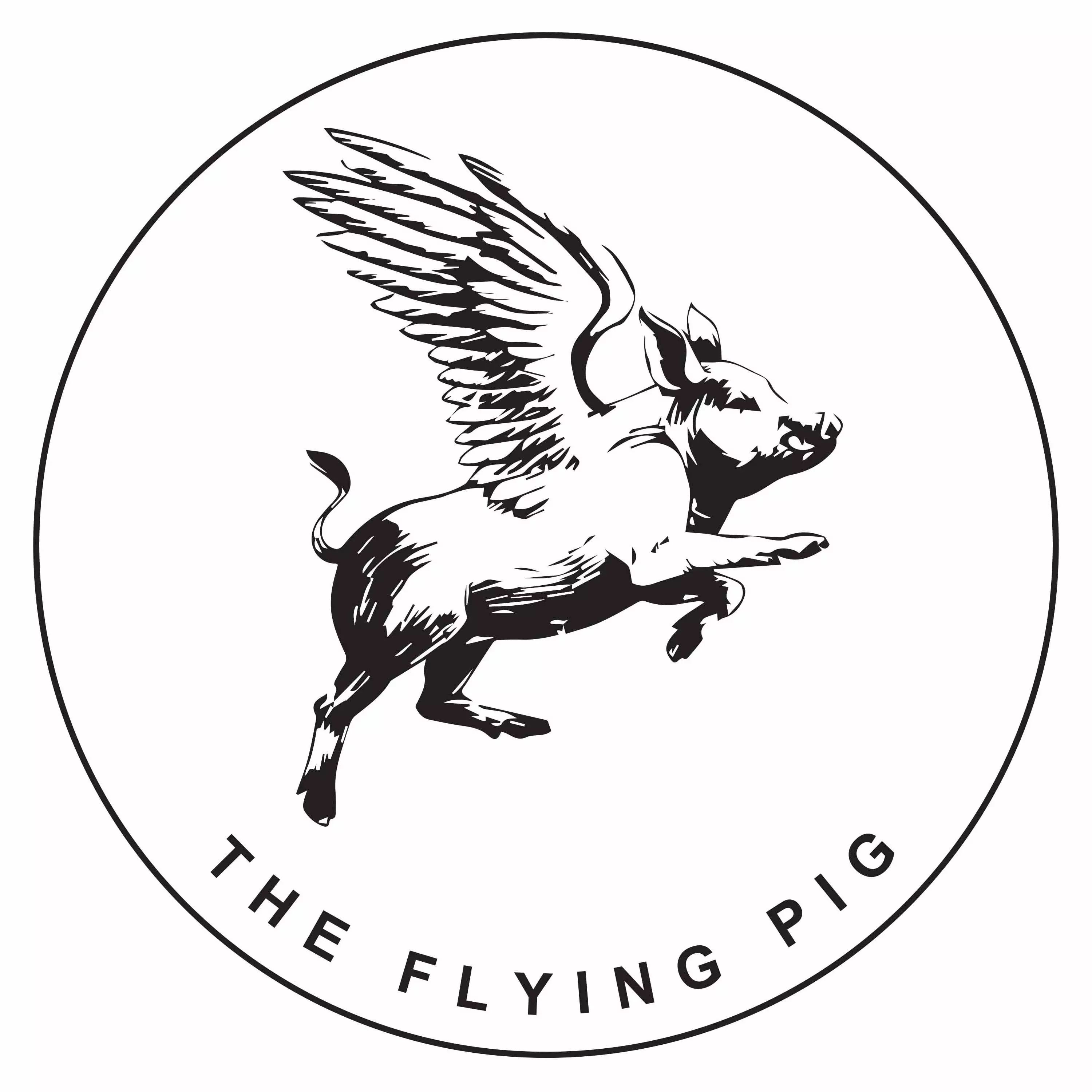  The Flying Pig 